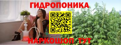 дживик Майкоп